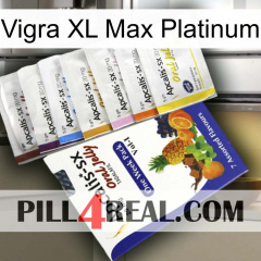 Vigra Xl Max Platinum 11